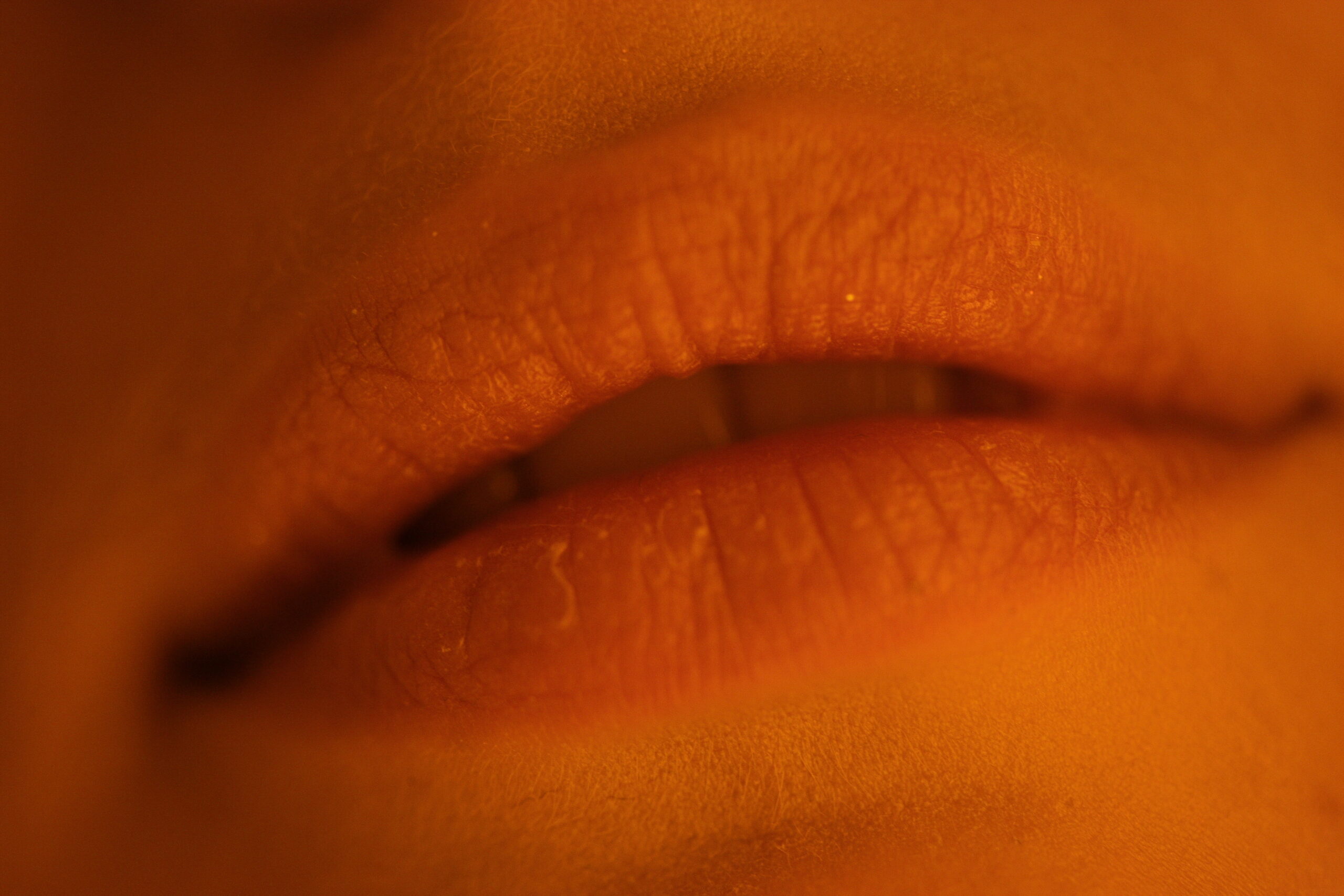 ORANGE LÈVRE